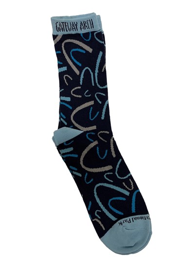 Gateway Arch Socks 26725