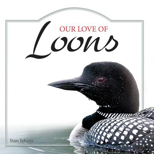 Our Love Of Loons 15193