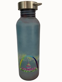 Gateway Arch Color Changing Water Bottle